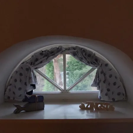 Sonnenblume Achtern Diek * Zingst