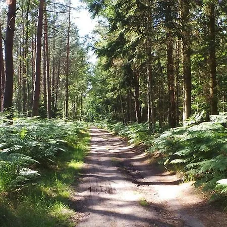 Sonnenblume Achtern Diek Διαμέρισμα Zingst