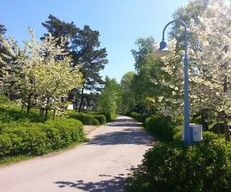 Apartment Sonnenblume Achtern Diek Zingst